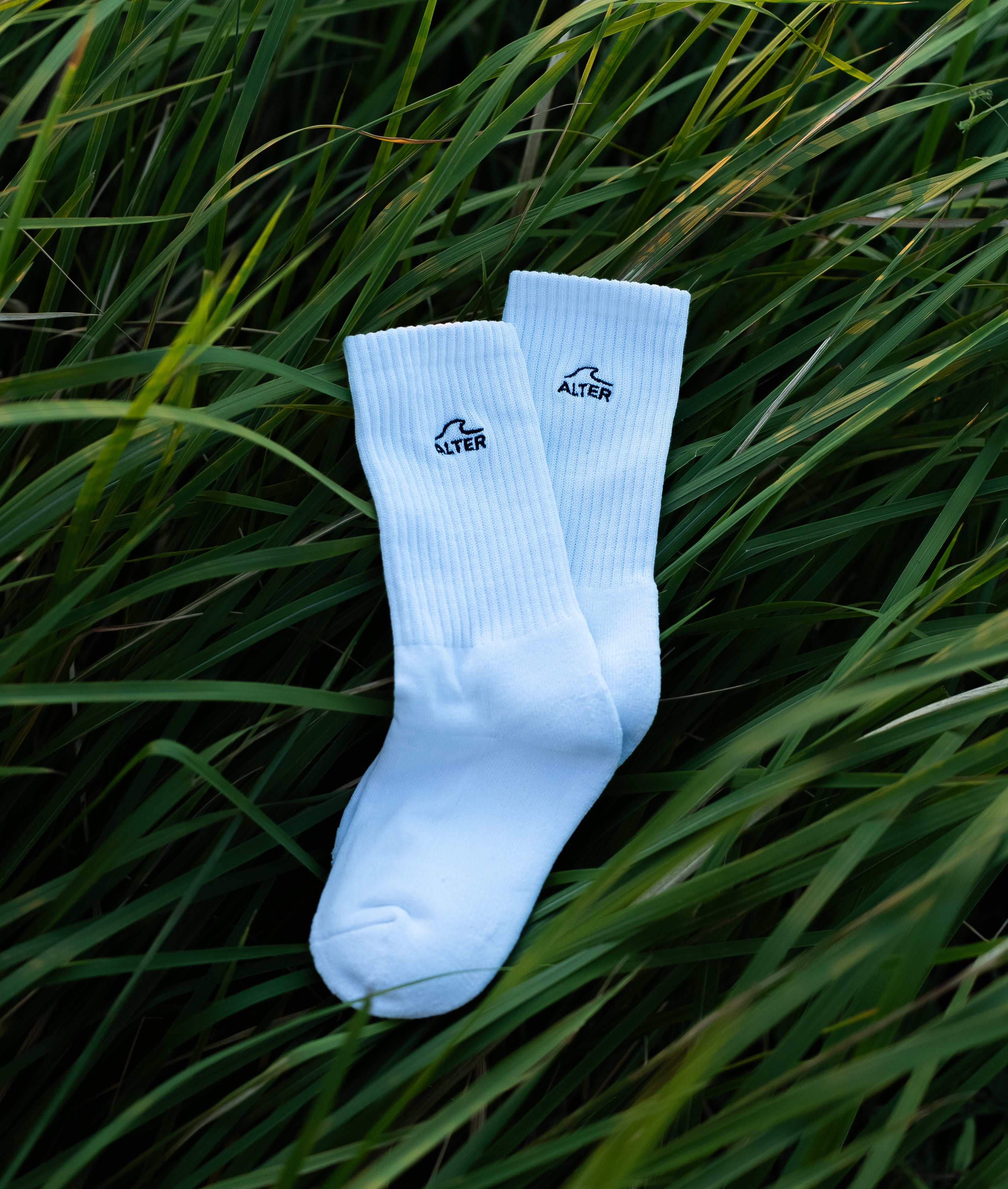 Everyday Sock