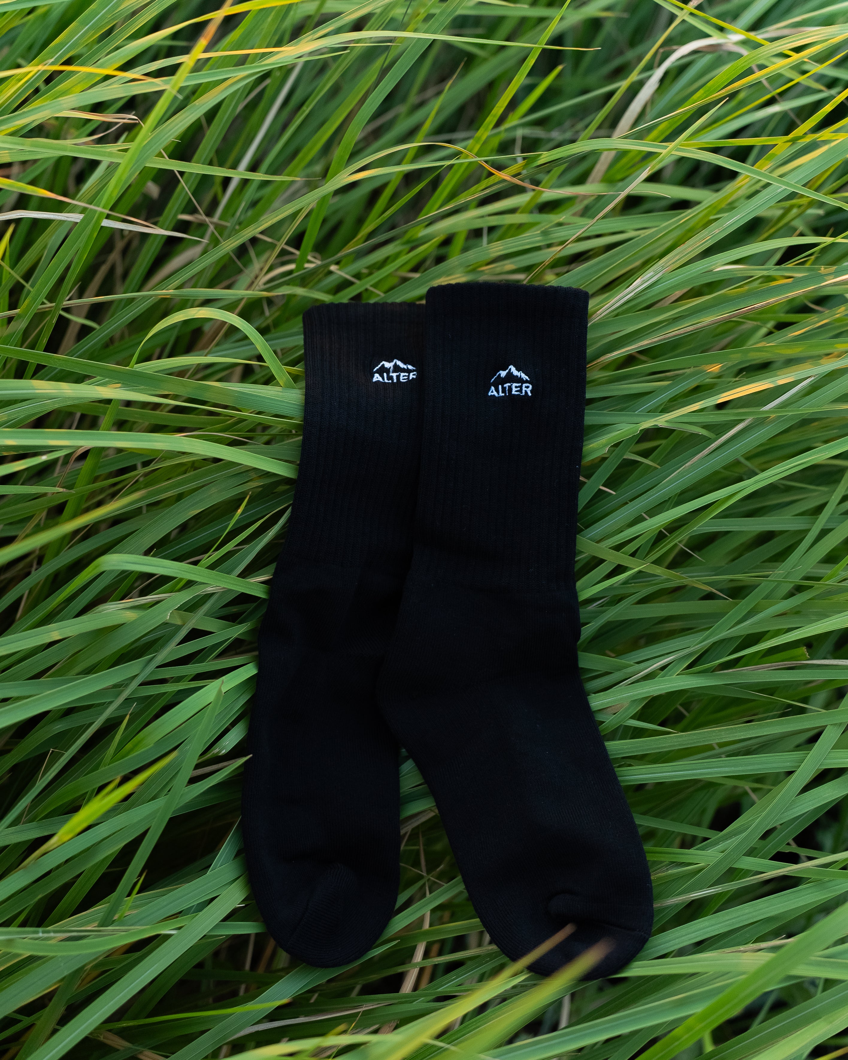 Everyday Sock
